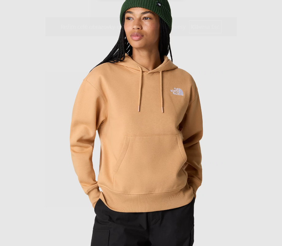 E-shop The North Face W ESSENTIAL HOODIE Dámska mikina US XL NF0A7ZJDI0J1
